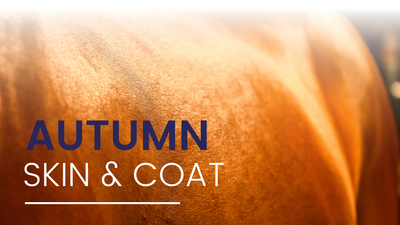 Autumn Skin & Coat