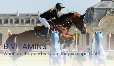 B Vitamins – What are they and why are they so important?