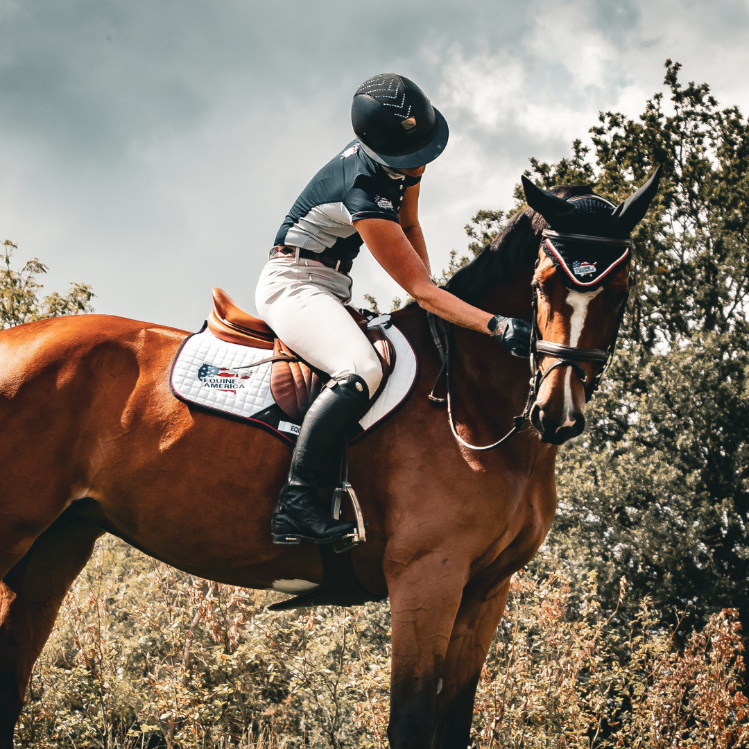 Equine clothing outlet