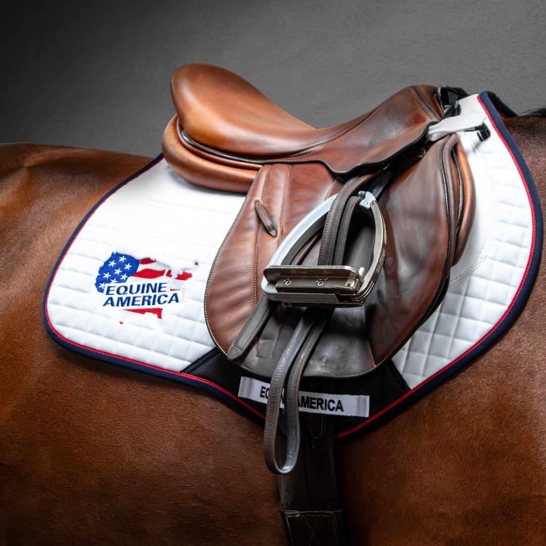 Equinate Real Lambskin Saddle Cushion Spinefriend With Spine Freedom Saddle Pad S Navy Natural For Horse And Pony Saddle 15 Inches 15.5 Inches